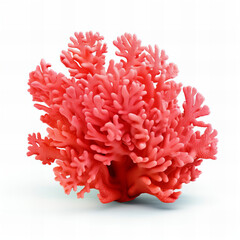 Red coral isolated on white background