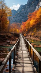 Fototapeta premium Colour pathway