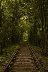 The real natural wonder - love tunnel created from trees along the railway in Ukraine, Klevan.