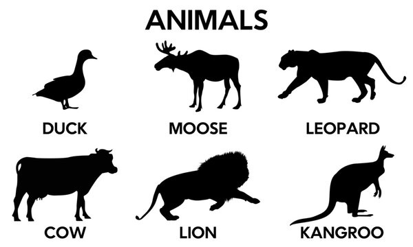 Animals silhouettes set vector illustration (black And white)