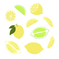Lemon lime slice. Summer fruits textured. Hand drawn organic vector illustration