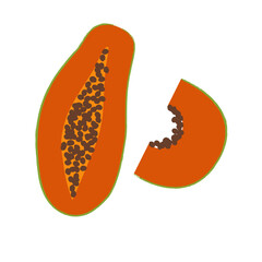 Papaya slice. Summer fruits textured. Hand drawn organic vector illustration