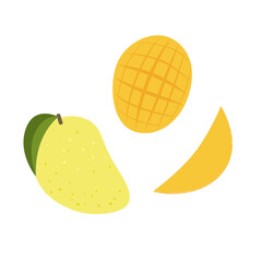 Mango slice. Summer fruits textured. Hand drawn organic vector illustration