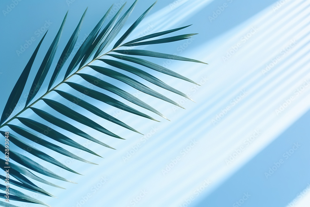 Poster blurred shadow from palm leaves on the light blue wall. minimal abstract background for product pres