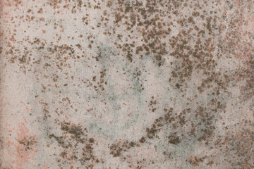 Old weathered surface mold wall dirty pattern texture background messy