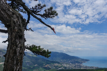 Picturesque view of the city of Yalta and the Black Sea from Ai-Petri mountain in Crimea. Mountain landscape with trees in the clouds. Clouds over Ai-Petri Mountain. Crimean Peninsula