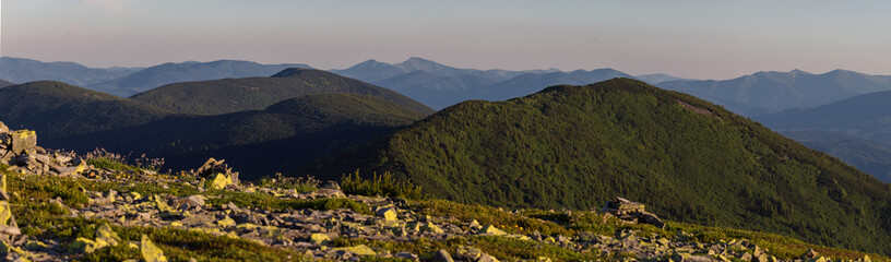 Panorama of the Carpathian Mountains in the evening light. The concept of the beauty of the earth...