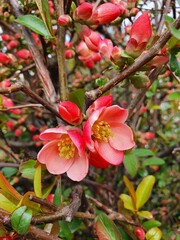 The beauty of nature