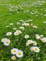 The beauty of nature