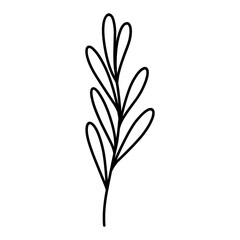 Cute branch with leaves isolated on white background. Vector hand-drawn illustration in doodle style. Perfect for cards, logo, decorations, various designs. Botanical clipart.
