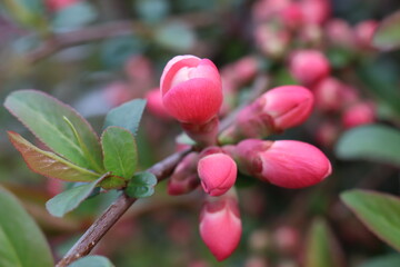 The beauty of nature