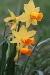 The beauty of nature