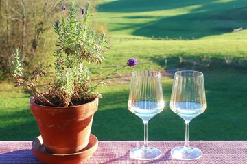 Zwei Weißweingläser auf dem Balkon, links ein Lavendel, im Hintergrund eine herbstliche Landschaft. Allgäu, Bayern.
