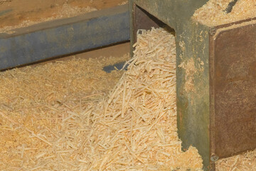 Yellow Natural Wood Sawdust Waste and Recycling Wood in Industrial Plant Machine Tool Industry
