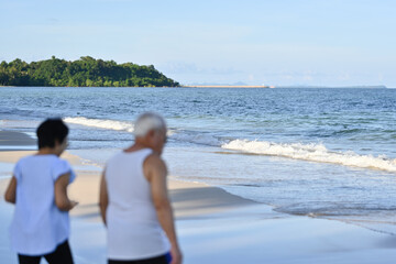Rear view of a blurred senior couple walking on the beach, Focus on a seascape