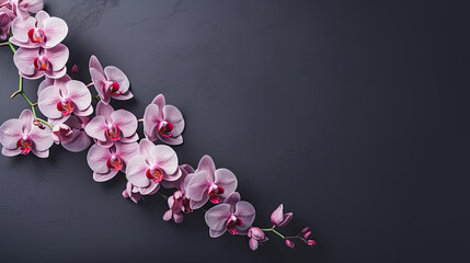 Naklejka na ściany i meble Orchid flowers close up 