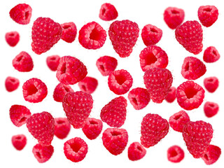 levitation of isolated raspberries on the white background