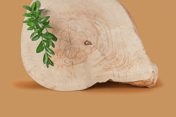 Abstract background for product presentation. Wood slice and fresh green branch on a beige background, front view, copy space. Empty table for for presentation, branding products, cosmetics.