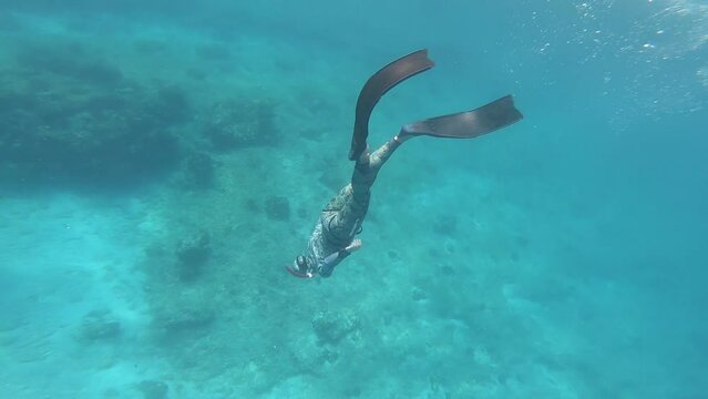 Freediving near Hvar island, Adriatic sea, Croatia, underwater movie
