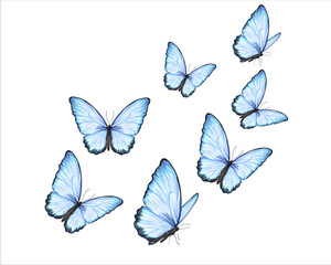 butterfly hand drawn design vector