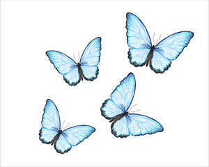 butterfly hand drawn design vector - obrazy, fototapety, plakaty