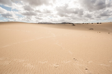 Amazing view with sand dunes of Fuerteventura volcanic island in Spain