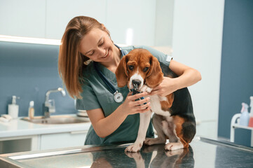 Little scissors for cutting the nails. Woman veterinarian is with dog in the clinic