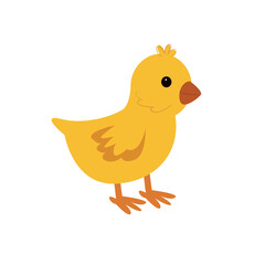 little chicken.Cartoon domestic chicken. Cute farm animals vector isolated set