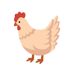 Cartoon domestic chicken. Cute farm animals vector isolated set