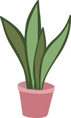 indoor plant pot vector illustration