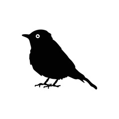 Vectorial illustrations of various bird silhouettes . Birds icon of black bird silhouettes. Vector elements for design. Birds black royalty free vector icon.