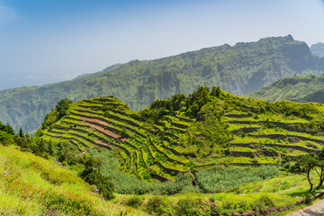 Green terrace fields on volcanic mountains surrounding with green grass on Santo Antao Island, Cape...