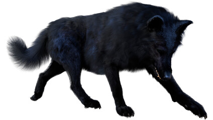 3D Rendering Black Wolf on White