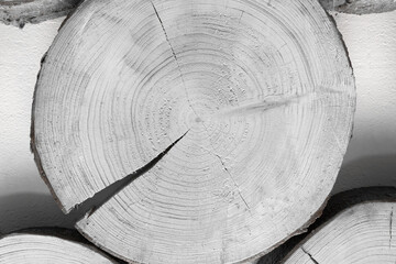Cracked close-up round annual tree ring texture wood white background material broken gray wooden...