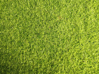 Top veiw, Abstract blurred artificult turf  green seamless texture for design, grass feild...