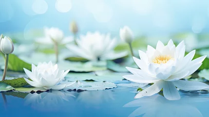 Foto op Canvas water lilies background  © reddish