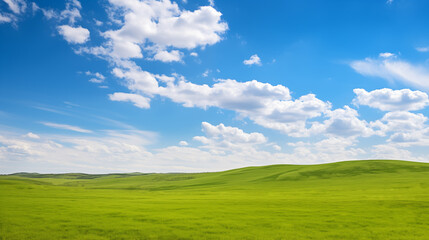 Green meadow with blue sky and clouds background