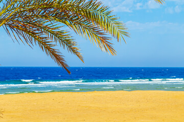 Fototapeta na wymiar Sunny resort beach with palm trees and umbrellas.