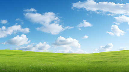 Green meadow with blue sky and clouds background - obrazy, fototapety, plakaty