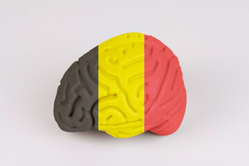 On a white background, a model of the brain with a picture of a flag - Belgium