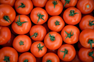 Closeup background photo of fresh ripe tomatoes ready for sale. Top view of juicy red tomatoes.