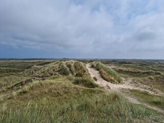 The dunes of Scheveningen