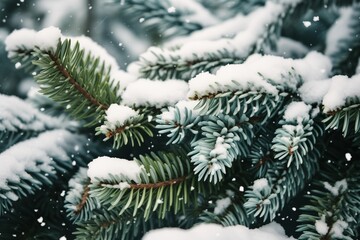 Evergreen Boughs, Icy Cloak, Nature's Endurance Tale, Frost's Touch, Resilience in Serene Beauty