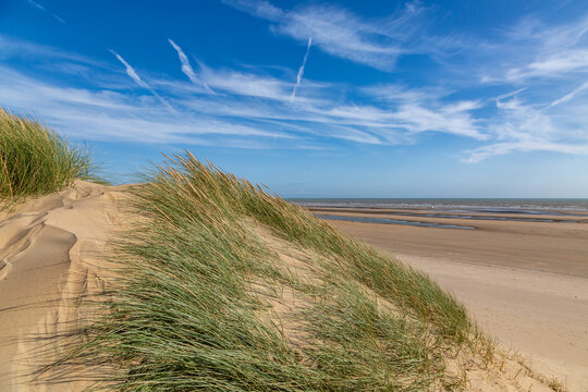Looking out over the sand dunes at Camber Sands in Sussex, on a sunny September day