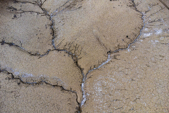 Cracked earth texture with subtle water seepage