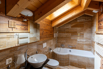 Rustic wooden bathroom interior with modern fixtures
