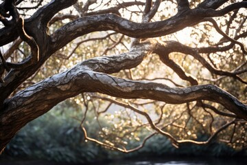 Obraz premium A picture of a large tree with branches extending over a serene body of water. This image can be used to depict nature, tranquility, landscapes, or outdoor scenes.