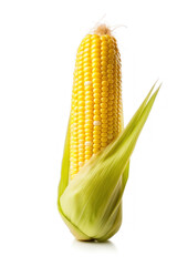 Fresh yellow corn isolated on transparent or white background. Presented in a flat style.