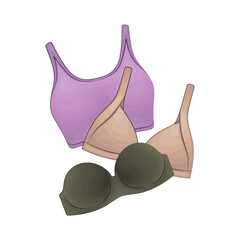 bra illustration 