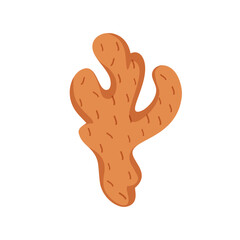 Ginger root, spicy herb design on white background, vector illustration